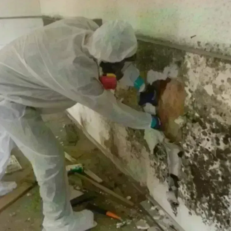 Mold Remediation and Removal in Coral Hills, MD