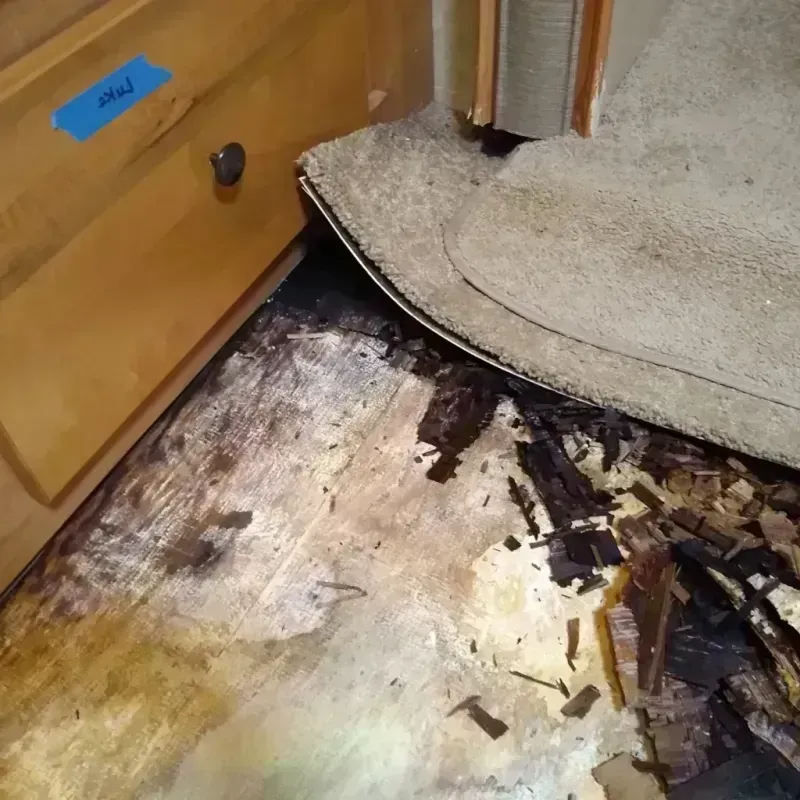 Best Wood Floor Water Damage Service in Coral Hills, MD